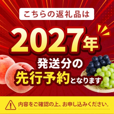 2027年発送先行受付《桃界の横綱キング白鳳》人気品種指定ギフト5年連続TV出演話題ブランド桃