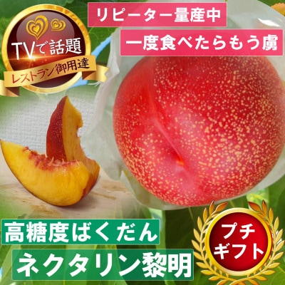【高糖度ばくだんネクタリン黎明】桃グランプリ日本一受賞&4年連続TV出演で話題2025年7月中旬発送