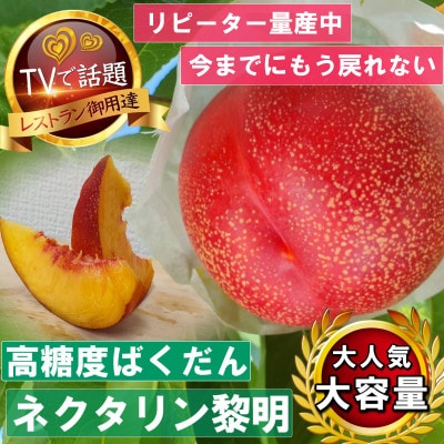 《高糖度ばくだんネクタリン黎明》桃グランプリ日本一受賞&4年連続TV出演で話題2025年7月中旬発送