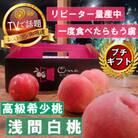 【市場にほぼ出回らない浅間白桃】人気品種指定ギフト5年連続TV出演話題ブランド2026年7月中旬発送