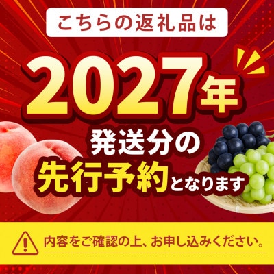 【2027年発送先行受付】市場にほぼ出回らない浅間白桃☆品種指定ギフト5年連続TV出演話題ブランド