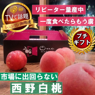 【市場に出回らないレアな西野白桃】人気品種指定ギフト4年連続TV出演話題ブランド2025年7月中旬発
