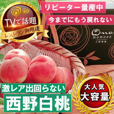 《市場に出回らないレアな西野白桃》人気品種指定ギフト4年連続TV出演話題ブランド2025年7月中旬発