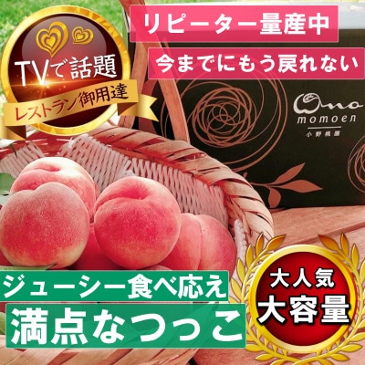 《大玉ジューシーなつっこ》人気品種指定ギフト4年連続TV出演話題ブランド2025年7月中旬発送