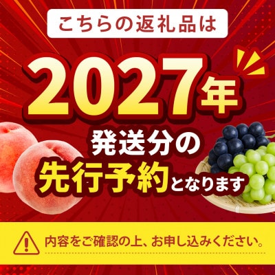 《大玉ジューシーなつっこ》人気品種指定ギフト5年連続TV出演話題ブランド【2027年発送先行受付】