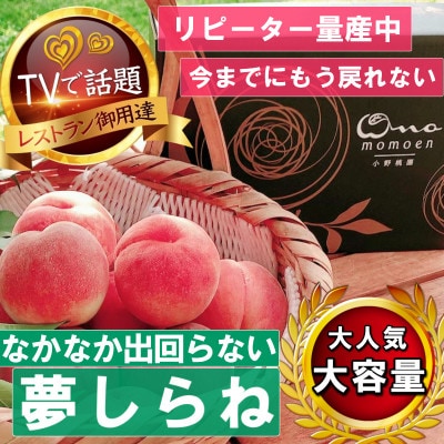 【全国桃グランプリ金賞夢しらね】滅多にお目にかかれない4年連続TV出演話題ブランド2025年7月下旬