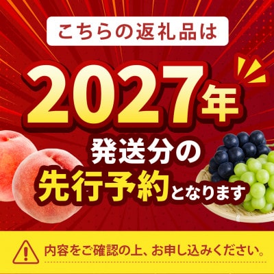 2027年発送先行受付【まず出逢えない幻の山加白桃】人気品種指定ギフト5年連続TV出演ブランド2kg