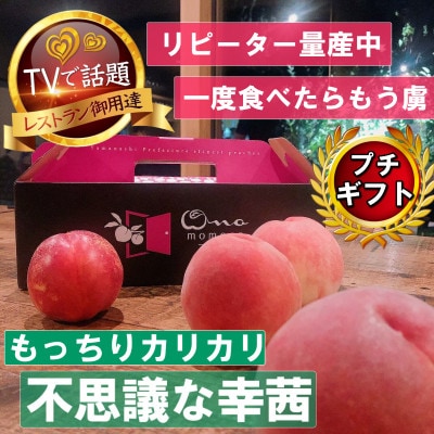 【もっちりカリカリ不思議な幸茜】人気品種指定ギフト4年連続TV出演話題ブランド2025年8月中旬発送