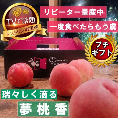 【瑞々しく滴る次世代を担う夢桃香】人気品種指定ギフト4年連続TV出演話題ブランド2025年6月下旬～