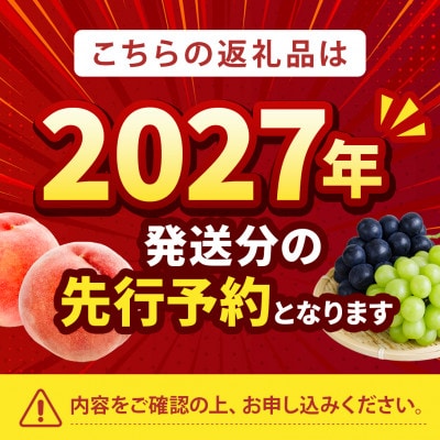 2027年発送先行受【瑞々しく滴る次世代を担う夢桃香】人気品種指定ギフト5年連続TV出演話題ブランド