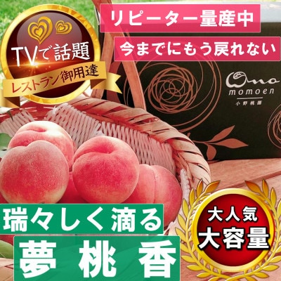 《瑞々しく滴る次世代を担う夢桃香》人気品種指定ギフト4年連続TV出演話題ブランド2025年6月下旬～