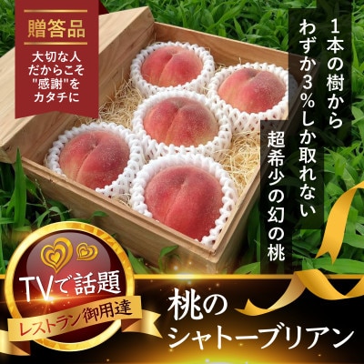 【TVで人気爆発】御中元選ばれる1000個中1個の希少性『幻のシャトーブリアン桃』8月上旬～順次発送