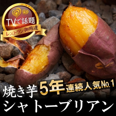 【比類なき幻の焼き芋】100日熟成ギリギリまで糖化したシャトーブリアン焼き芋2026年2月上旬～発送