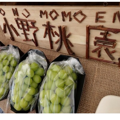 【先着100箱限定】ギリギリまで完熟させた市場に出回らない『樹上完熟シャインマスカット』約2kg