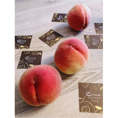 【5年連続TV出演達成】今、最も熱視線を注がれる『樹上完熟ブランド桃』2026年9月上旬より発送