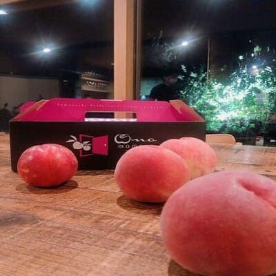 【5年連続TV出演達成】今、最も熱視線を注がれる『樹上完熟ブランド桃』2026年9月上旬より発送