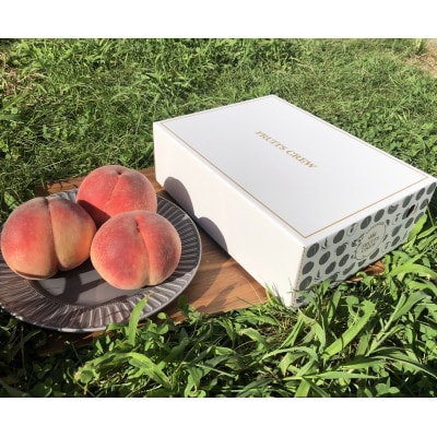 【山梨生まれ激レア品種 夢桃香】本場山梨品種指定約2kg　6月下旬より順次発送