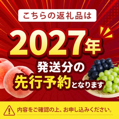 2027年発送先行受付【山梨生まれ激レア品種 夢桃香】本場山梨品種指定約2kg