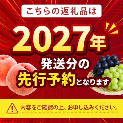 2027年先行受付【清涼感のある硬質甘み 夢みずき】本場山梨の品種指定約2kg　6月下旬より順次発送