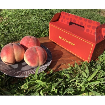 【山梨生まれ激レア品種 夢桃香】本場山梨品種指定お試し約1kg　6月下旬より順次発送