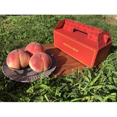 【むっちり高糖度夏の甘味王　嶺鳳】本場山梨の品種指定キャンペーンお試し約1kg　7月上旬より順次発送