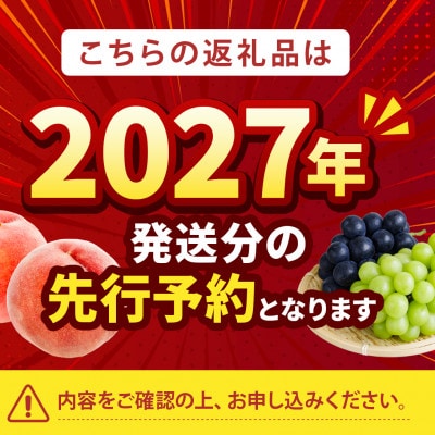 2027年発送先行受付【むっちり高糖度夏の甘味王　嶺鳳】本場山梨の品種指定キャンペーンお試約1kg　