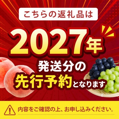 2027年発送先行受付【強い甘みの大玉硬質桃 なつっこ】本場山梨の品種指定約2kg　