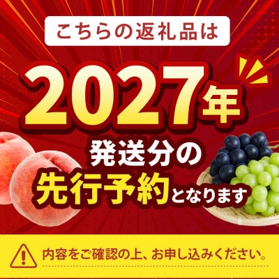 2027年発送先行受付【大玉の王道ハード系 川中島白桃】本場山梨の品種指定キャンペーンお試し約1kg