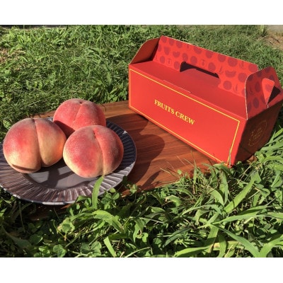 【桜色に輝く高糖度 さくら白桃】本場山梨の品種指定キャンペーンお試し約1kg　8月中旬より順次発送