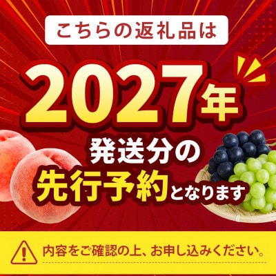 2027年発送先行受付【桜色に輝く高糖度 さくら白桃】本場山梨の品種指定キャンペーンお試し約1kg　