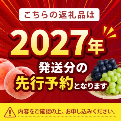 2027年発送先行受付【桜色に輝く高糖度 さくら白桃】本場山梨の品種指定約2kg　