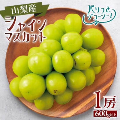 【2025年発送】シャインマスカット1房(1房600g以上)