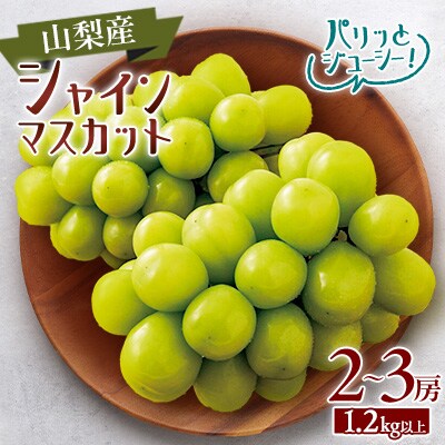 【2025年発送】山梨市産　シャインマスカット　2～3房(1.2kg以上)