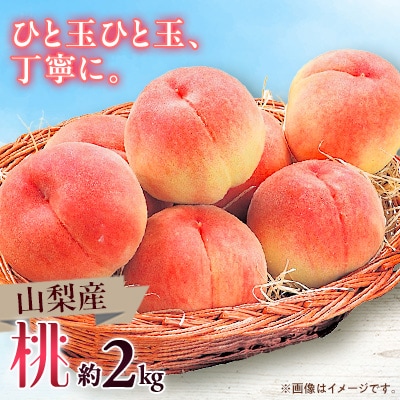 【2025年発送】山梨市産　桃　約2kg