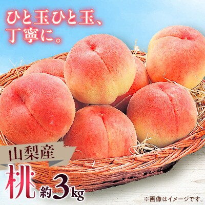 【2025年発送】山梨市産　桃　約3kg