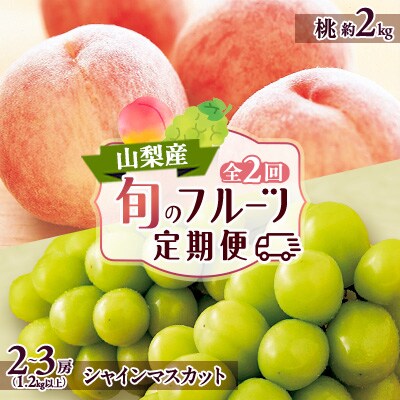 【発送月固定定期便】山梨市フルーツ定期便(桃・シャインマスカット)全2回