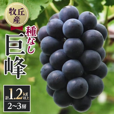 山梨直送!!種なし巨峰　2～3房(1.2kg以上)