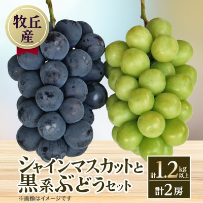 山梨直送!!シャインマスカットと黒系ぶどう　2房(1.2kg以上)