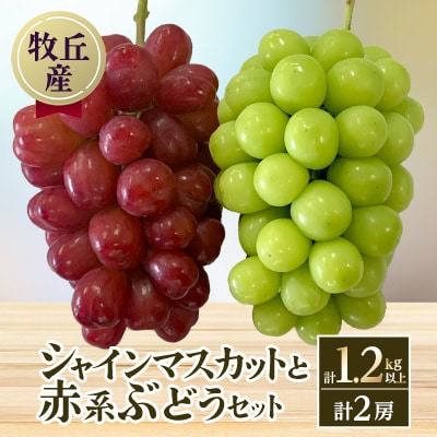 山梨直送!!シャインマスカットと赤系ぶどう　2房(計1.2kg以上)
