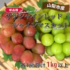 山梨市産サンシャインレッドとシャインマスカットの特別セット(合計1kg以上)