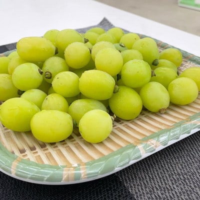 【2026年発送】【訳あり】山梨市産シャインマスカットつぶつぶ 1kg