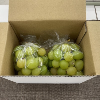 【2026年発送】【訳あり】山梨市産シャインマスカットつぶつぶ 1kg