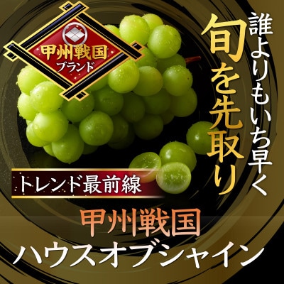 【今逃せば1年待ち】最高糖度20度オーバー贈答用甲州戦国ハウスオブシャイン2025年6月下旬より発送