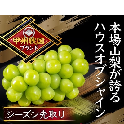 【本場山梨の旬を堪能】今、話題のハウスオブシャインマスカット全国に先駆け2025年6月中旬発送