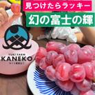 【本場山梨の希少品種】見つけたらラッキーなかなかお目にかかれないお試し富士の輝2026年9月中旬発送