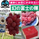 【本場山梨の希少品種】見つけたらラッキーなかなかお目にかかれない富士の輝約2kg9月中旬より発送