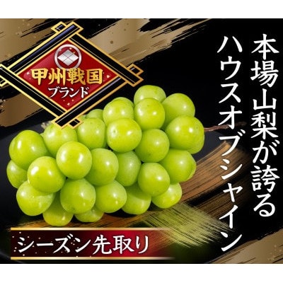 【幻のハウスオブシャインマスカット】今の時期しか収穫できない幻の逸品約2kg 6月下旬発送予定