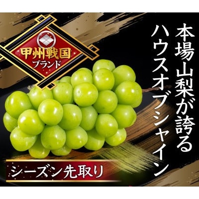【本場山梨の旬を堪能】話題のハウスオブシャインマスカット 先駆け お試し約1kg 6月中旬発送予定