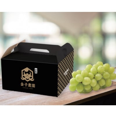 【本場山梨の旬を堪能】話題のハウスオブシャインマスカット 先駆け お試し約1kg 6月中旬発送予定