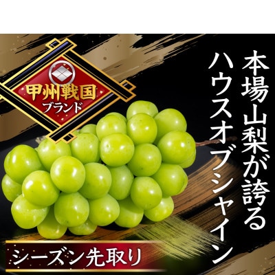【唯一無二の逸品】全国でココだけでしか味わえない幻のハウスオブシャインマスカット　お試し6月下旬発送